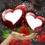 Guest_Shanelle37