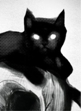 Guest_kitty607877