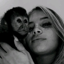 immagine avatar