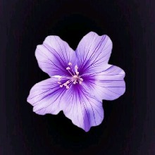 Guest_Brigitte731860