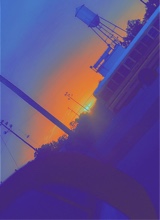 Guest_nevaehh44367