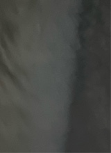 Guest_tomatomajorelleb49bb