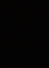 Guest_boilingmajorellef7df
