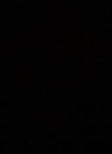 Guest_rlkbielzin