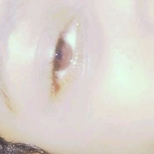 Guest_Aysia856638