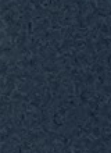 Guest_Topp11