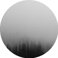Guest_zmyl8wby