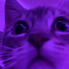 Guest_stormypumkin