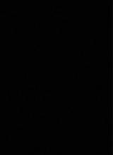 Guest_PLAG4445