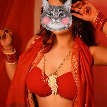 Guest_Minicat1