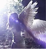 Guest_vion11
