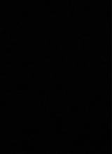 immagine avatar