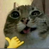 Guest_lunaxcx1