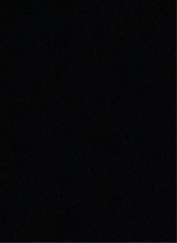 immagine avatar