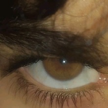 Guest_Hamid38