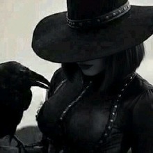 Guest_Lyz2026