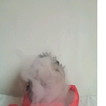 Guest_LitNinja1
