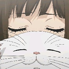 Guest_yyukisitaa22