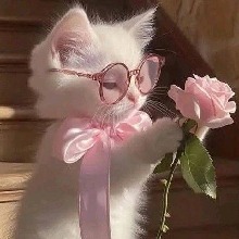 Guest_Anne219363