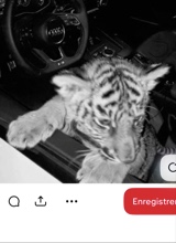 Guest_zepek67