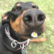 Guest_Caixia1