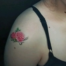 Guest_Abigail295056