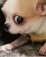 Guest_Wowlol3
