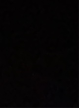 Guest_n4styd0gxX