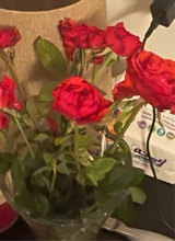 Guest_julia390208