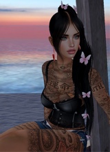 Guest_Serenity835126