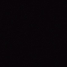 Guest_Raquel117012