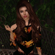 Guest_MEDEIROZASHLEYY