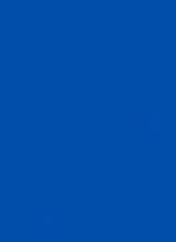 avatar resmi
