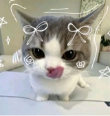 ivxnnyi