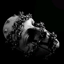 Guest_frailpaleplum2325