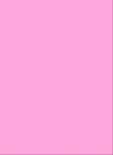 Guest_Tyanna235192