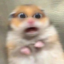 Aenyahaha