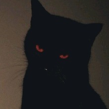 Guest_Lucifer1184