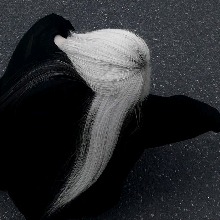 Heartlessdoll