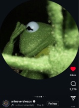 Guest_Toonietyme