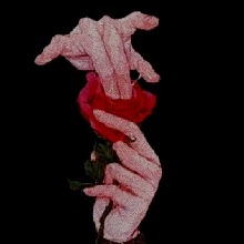 Guest_lany7