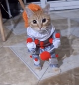 lIlIlIlIIlI