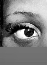 Guest_thatgirlshay33