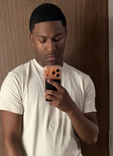 PP33